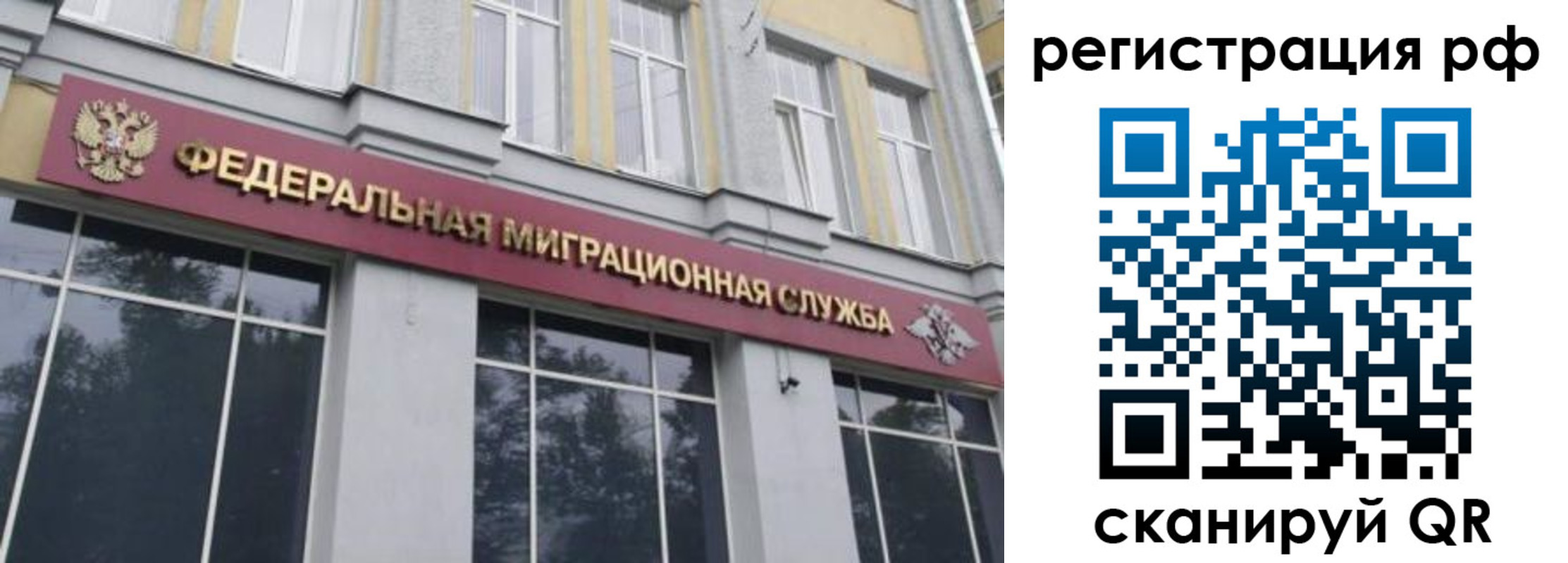 прописка законно в Свободном